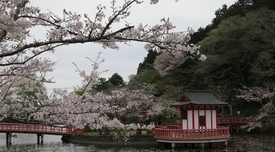 🌸 모바라 공원 (모바라코엔) 이미지 2